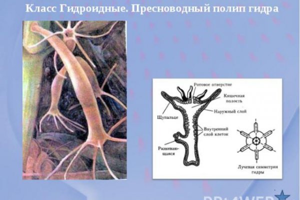 Как найти ссылку на мега даркмаркет